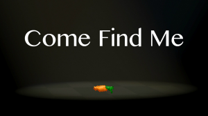 Come Find Me